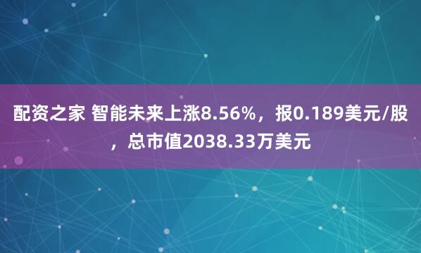 配资之家 智能未来上涨8.56%，报0.189美元/股，总市值2038.33万美元
