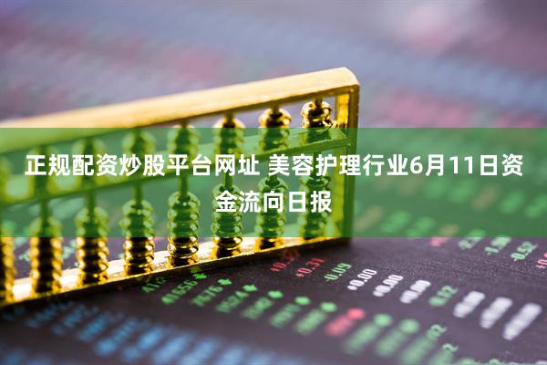 正规配资炒股平台网址 美容护理行业6月11日资金流向日报