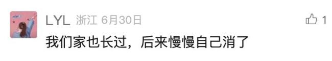 5岁男孩脖子长小疙瘩确诊癌症晚期 警惕淋巴结异常信号