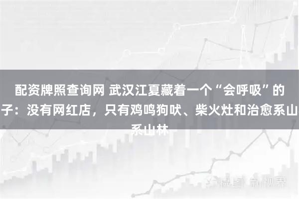 配资牌照查询网 武汉江夏藏着一个“会呼吸”的村子：没有网红店，只有鸡鸣狗吠、柴火灶和治愈系山林