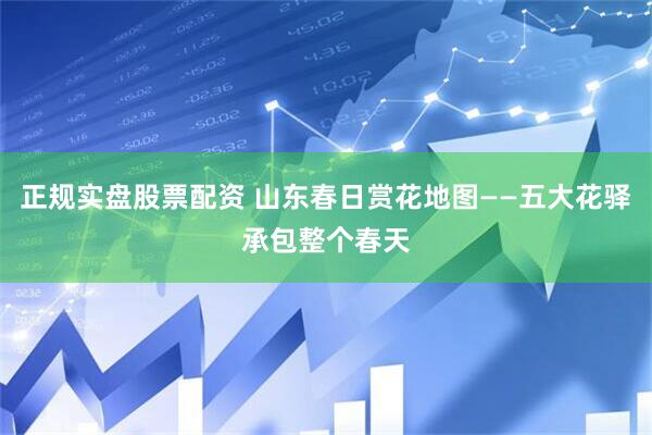 正规实盘股票配资 山东春日赏花地图——五大花驿承包整个春天